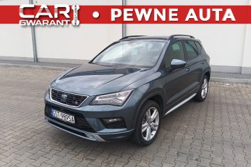 Mega niski przebieg FR Full Opcja kamery 360 Virtusl Cokpit FullLed